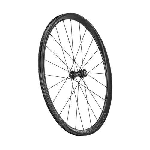 JUEGO DE RUEDAS CAMPAGNOLO LEVANTE 30 DISCO TUBELESS