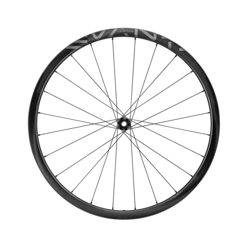 JUEGO DE RUEDAS CAMPAGNOLO LEVANTE 30 DISCO TUBELESS