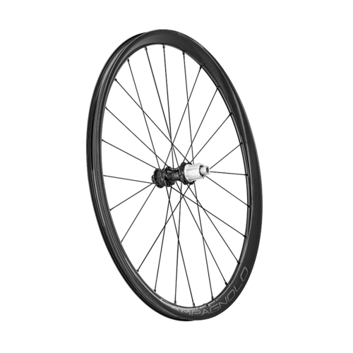 JUEGO DE RUEDAS CAMPAGNOLO LEVANTE 30 DISCO TUBELESS